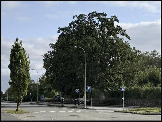 Parkering på Rolighedsvej